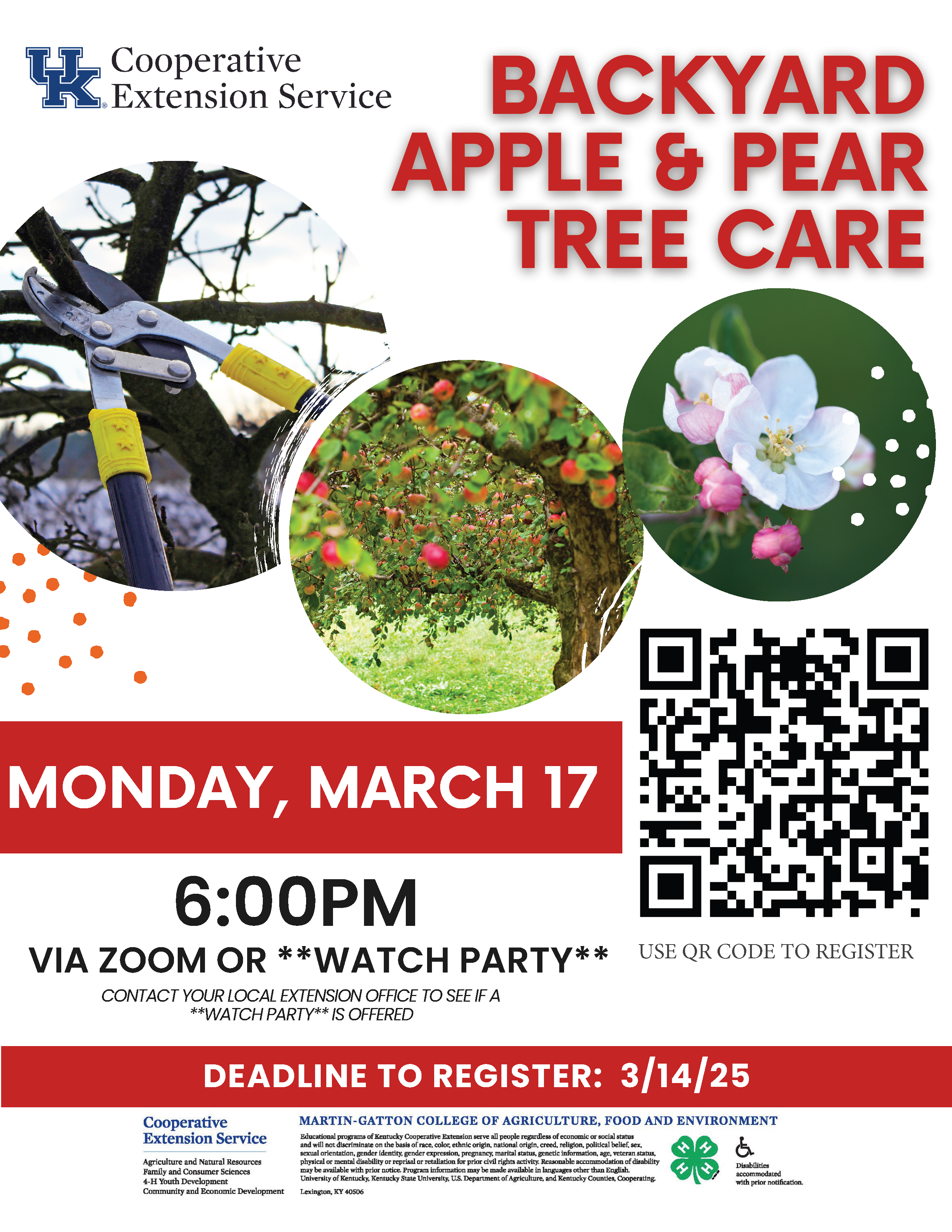 Backyard Apple/ Pear Tree Care