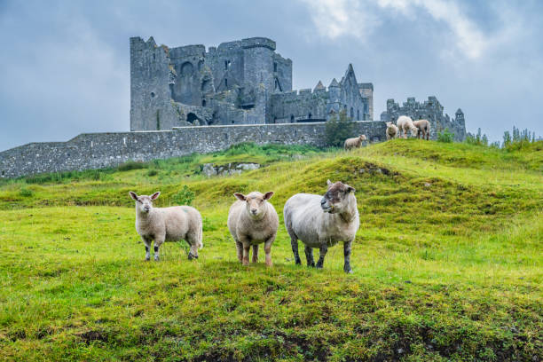 Ireland