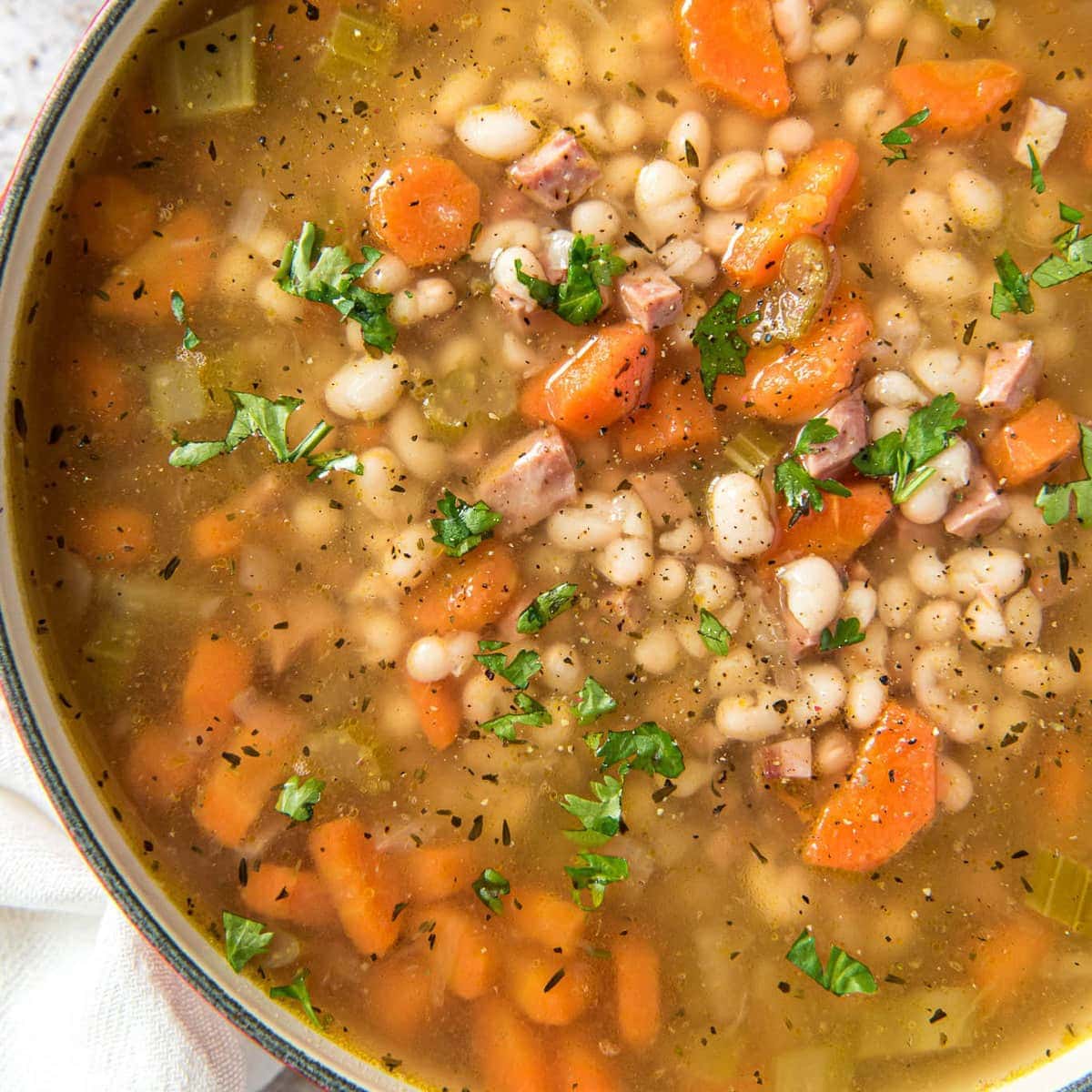 Slow Cooker Navy Bean Soup